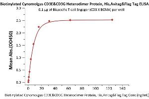CD3E & CD3G (AA 22-117) (Active) protein (His tag,AVI tag,DYKDDDDK Tag,Biotin)