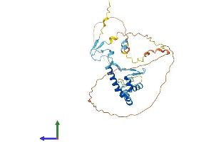 AlphaFold protein structure predicition of Human Recombinant SPRY2 Protein, UniprotID O43597