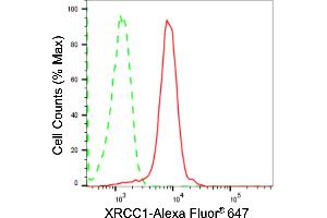 Flow cytometric analysis of XRCC1 expression in HepG2 cells using XRCC1 antibody (ABIN7800874), 1:2,000). (Rekombinanter XRCC1 Antikörper)