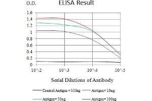 Black line: Control Antigen (100 ng),Purple line: Antigen (10 ng), Blue line: Antigen (50 ng), Red line:Antigen (100 ng) (BTN1A1 Antikörper  (AA 27-242))