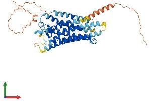 Protein Structure (PS) image for Prostaglandin E Receptor 3 (Subtype EP3) (PTGER3) (AA 1-390) protein (His tag) (ABIN7554907)