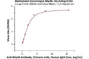 Immobilized Biotinylated Cynomolgus NKp46, His,Avitag (ABIN6973180) at 1 μg/mL (100 μL/well) on streptavidin  precoated (0.