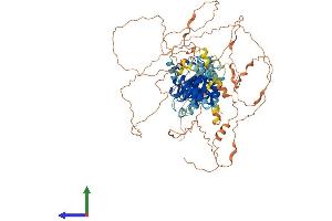 Protein Structure (PS) image for Neuronal PAS Domain Protein 4 (NPAS4) (AA 1-802) protein (His tag) (ABIN7549898)