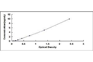 Typical standard curve (NT-ProBNP ELISA Kit)