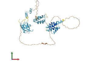 Protein Structure (PS) image for Paraneoplastic Ma Antigen Family Member 5 (PNMA5) (AA 1-448) protein (His tag) (ABIN7550835)