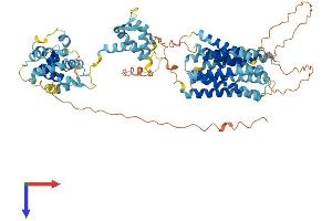 SLC39A12 Protein (AA 1-689) (His tag)