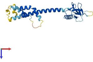 RPAIN Protein (AA 1-219) (His tag)