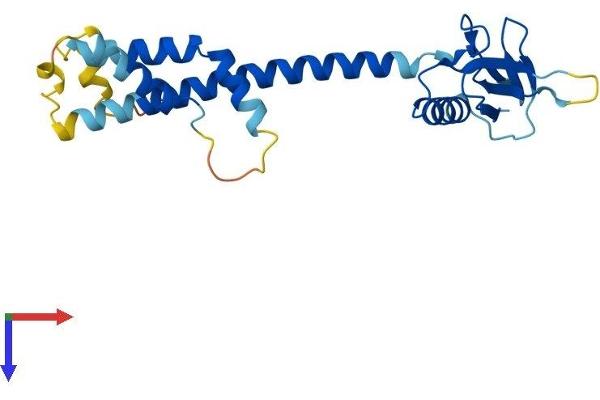 RPAIN Protein (AA 1-219) (His tag)