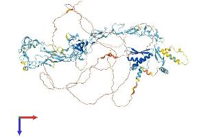 NFX1 Protein (AA 1-1114) (His tag)