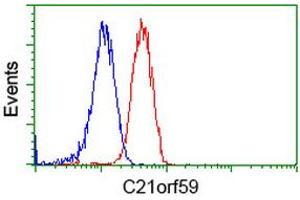 Flow cytometric Analysis of Jurkat cells, using anti-C21orf59 antibody (ABIN2453835), (Red), compared to a nonspecific negative control antibody, (Blue). (C21orf59 Antikörper)