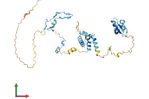 Protein Structure (PS) image for CD2 (Cytoplasmic Tail) Binding Protein 2 (CD2BP2) (AA 1-341) protein (His tag) (ABIN7553059)