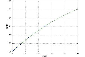 Thymidine Phosphorylase (TYMP) ELISA Kit