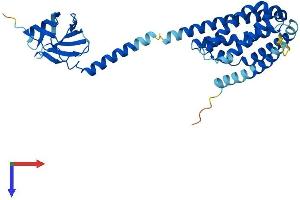 PTPLAD1 Protein (AA 1-362) (His tag)