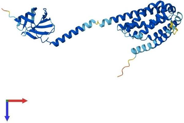PTPLAD1 Protein (AA 1-362) (His tag)