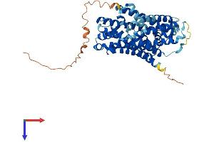 SLC36A2 Protein (AA 1-483) (His tag)