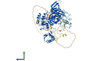 Protein Structure (PS) image for Ubiquitin-Like with PHD and Ring Finger Domains 2, E3 Ubiquitin Protein Ligase (UHRF2) (AA 1-802) protein (His tag) (ABIN7555913)
