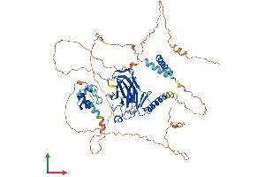 Protein Structure (PS) image for Tumor Protein P73 (TP73) (AA 1-636) protein (His tag) (ABIN7550486)