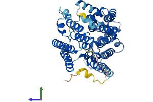 Protein Structure (PS) image for Phosphatidylinositol Glycan M (PIGM) (AA 1-423) protein (His tag) (ABIN7559118)