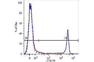 Surface staining of human peripheral blood lymphocytes using anti-human CD8 (CD8 Antikörper  (PE))