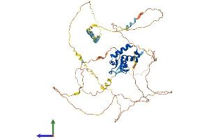 Protein Structure (PS) image for Forkhead Box G1 (FOXG1) (AA 1-489) protein (His tag) (ABIN7547710)