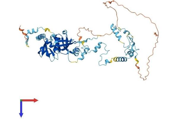 TSEN54 Protein (AA 1-526) (His tag)