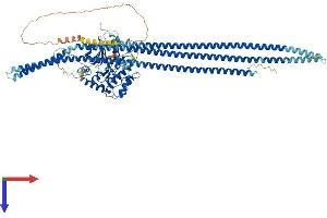 TAO Kinase 3 Protein (TAOK3) (AA 1-898) (His tag)
