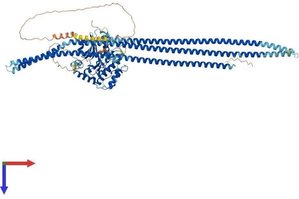 TAO Kinase 3 Protein (TAOK3) (AA 1-898) (His tag)