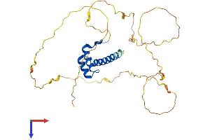 HOXB13 Protein (AA 1-286) (His tag)