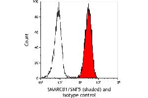 Flow Cytometry (FACS) image for anti-SWI/SNF Related, Matrix Associated, Actin Dependent Regulator of Chromatin, Subfamily B, Member 1 (SMARCB1) (AA 225-275) antibody (ABIN7795716)
