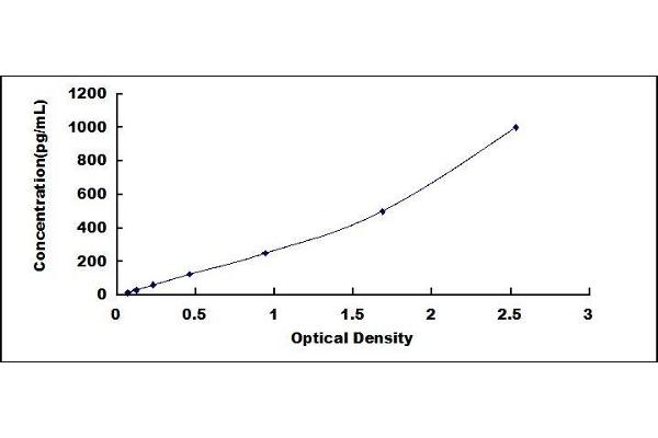 Epiregulin ELISA Kit