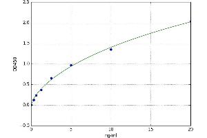 A typical standard curve