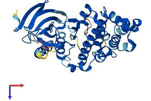 MAPK11 Protein (AA 1-364) (His tag)
