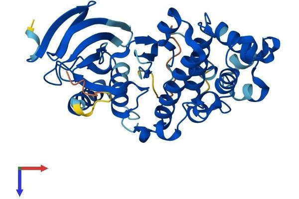 MAPK11 Protein (AA 1-364) (His tag)