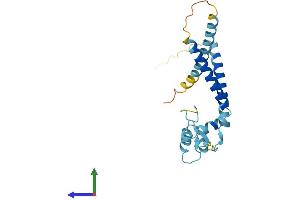 Protein Structure (PS) image for Retinitis Pigmentosa 9 (Autosomal Dominant) (RP9) (AA 1-213) protein (His tag) (ABIN7556824)