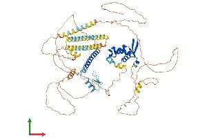 Protein Structure (PS) image for Forkhead Box P1 (FOXP1) (AA 1-677) protein (His tag) (ABIN7553966)