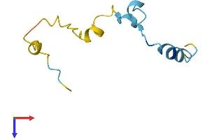 CAMK2N1 Protein (AA 1-78) (Fc Tag)