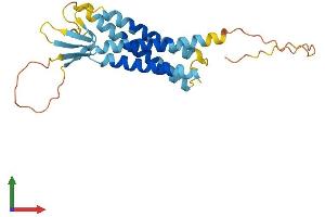 AlphaFold protein structure predicition of Mouse Recombinant Tmem204 Protein, UniprotID Q7TQI0 (TMEM204 Protein (AA 1-226) (His tag))