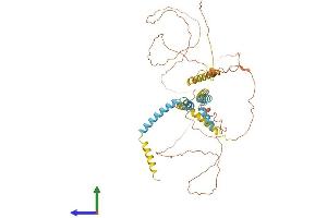 Protein Structure (PS) image for Reticulon 2 (RTN2) (AA 1-545) protein (His tag) (ABIN7545867)