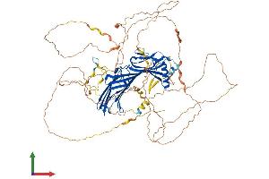 AlphaFold protein structure predicition of Human Recombinant SGIP1 Protein, UniprotID Q9BQI5