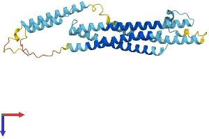 Syntaxin 11 Protein (STX11) (AA 1-287) (His tag)