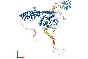 Protein Structure (PS) image for DDHD Domain Containing 2 (DDHD2) (AA 1-699) protein (His tag) (ABIN7564295)