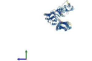 AlphaFold protein structure predicition of Mouse Recombinant Fer Protein, UniprotID P70451