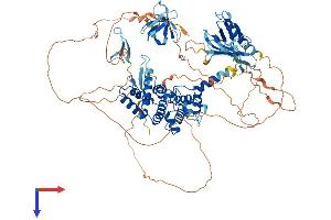ARHGAP27 Protein (AA 1-869) (His tag)