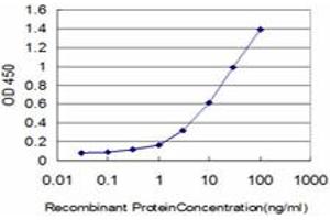 Detection limit for recombinant GST tagged ERN1 is approximately 0. (ERN1 Antikörper  (AA 401-500))
