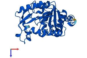 GNPDA2 Protein (AA 1-276) (His tag)