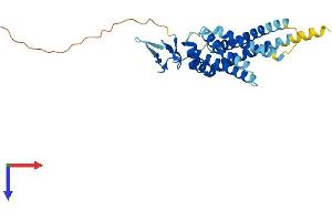 ARV1 Protein (AA 1-271) (His tag)