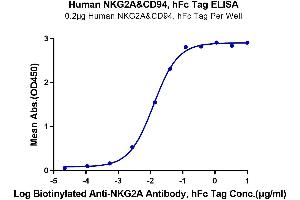 Immobilized Human NKG2A&CD94, hFc Tag at 2 μg/mL (100 μL/Well) on Fc Antibody (2 μg/mL) precoated plate.