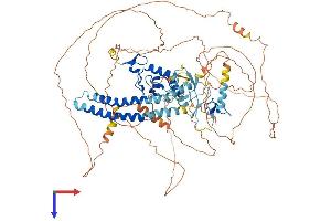 RNF19A Protein (AA 1-840) (His tag)