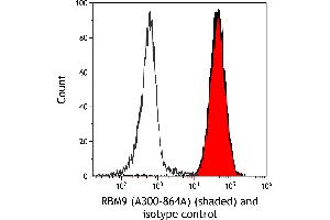 Flow Cytometry (FACS) image for anti-RNA Binding Motif Protein 9 (RBM9) (AA 1-50) antibody (ABIN7454680)