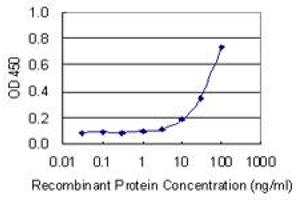 Detection limit for recombinant GST tagged NOS3 is 3 ng/ml as a capture antibody. (ENOS Antikörper  (AA 61-160))